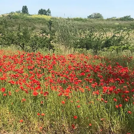 “la Casetta Del 1930” Historic Unit From Early '900 公寓 奥托纳