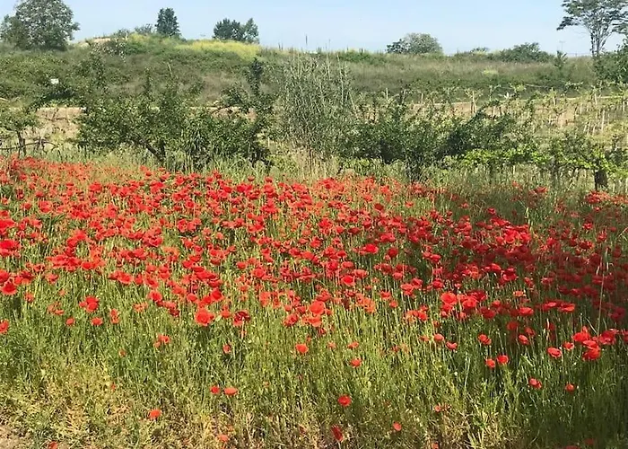 “la Casetta Del 1930” Historic Unit From Early '900 Daire Ortona